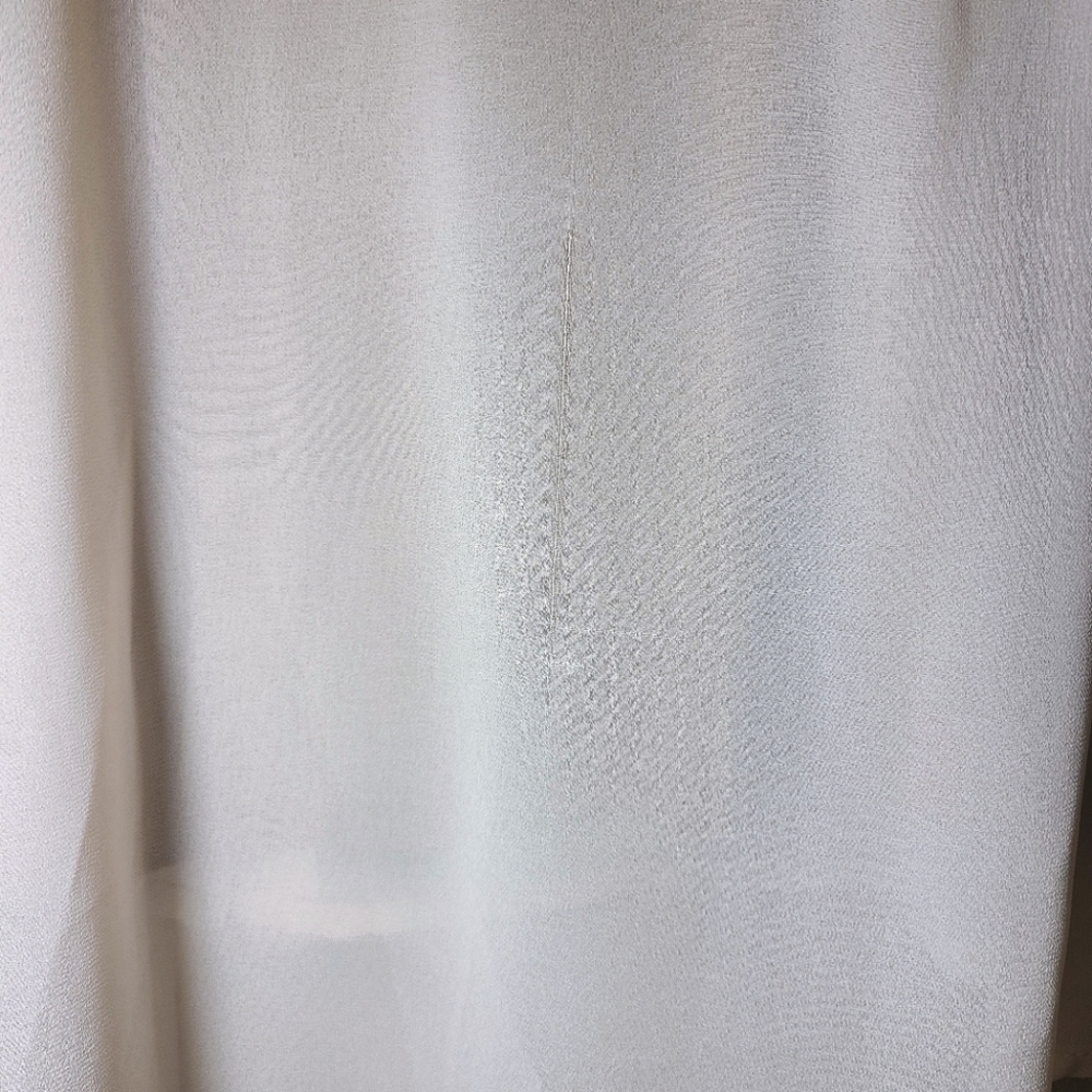 NWT Mesmerize Cream Sheer Buttom Down Blouse with Attached Tank Top - Picture 6 of 8